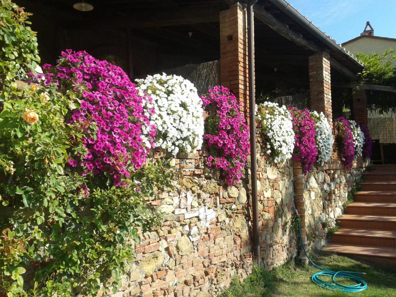 Gasthaus Borgo Fajani Terricciola Exterior foto