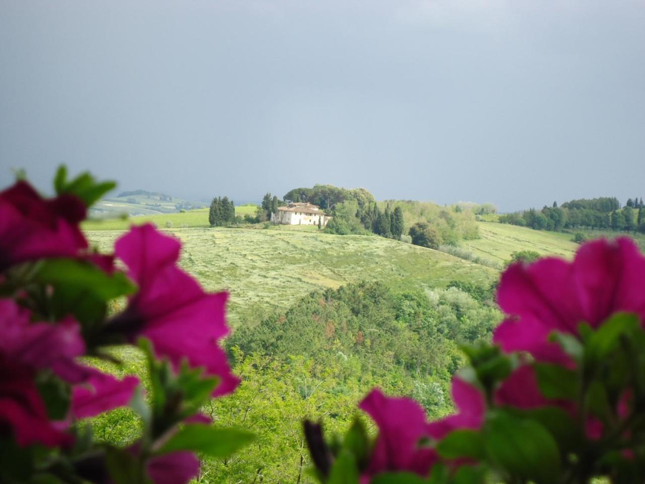 Gasthaus Borgo Fajani Terricciola Exterior foto